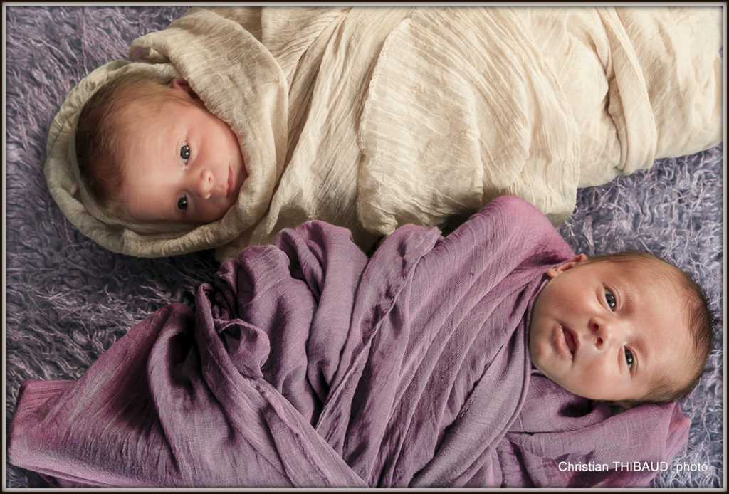 Séance studio bébés